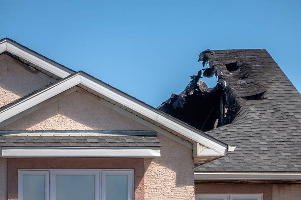 Top rated local Odor Removal specialists in Arnold, MD